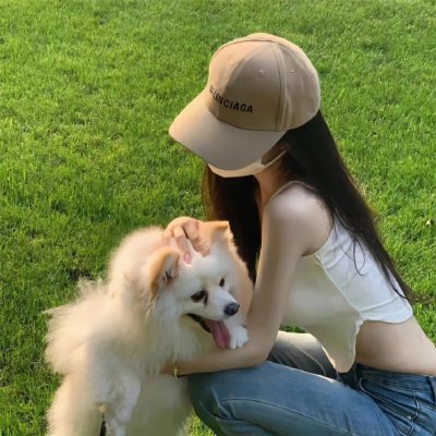 新·驯龙高手